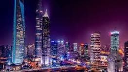 City Nights Food Tour